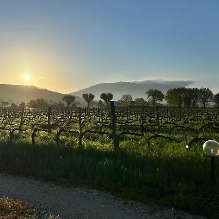 Podere La Fornace * Assisi