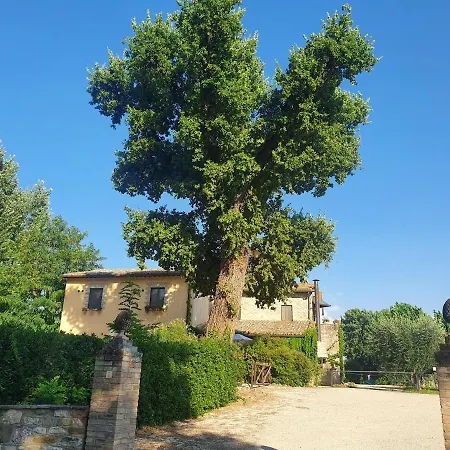 Podere La Fornace Assisi