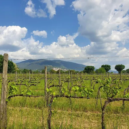 Podere La Fornace Venkovský dům Assisi