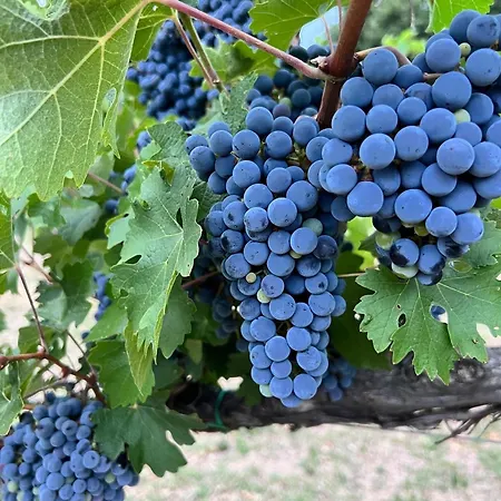 Podere La Fornace Landsted *