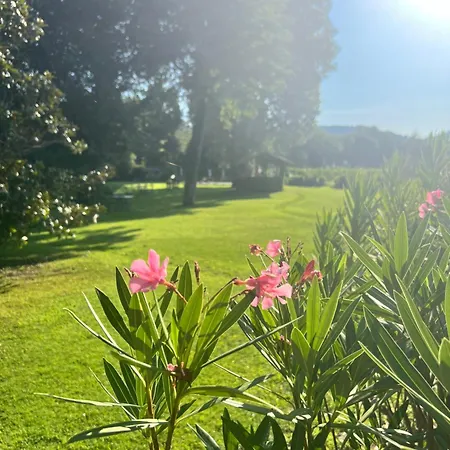 Podere La Fornace Landsted Assisi